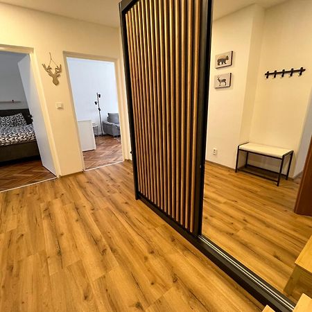 Apartman Visek Apartment Jáchymov Exterior foto